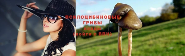 spice Рославль