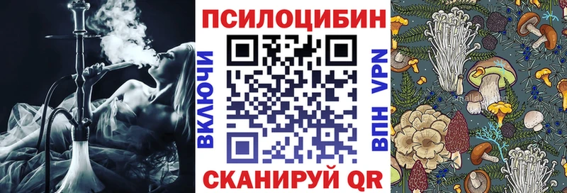 Псилоцибиновые грибы MAGIC MUSHROOMS  как найти закладки  Полярный 